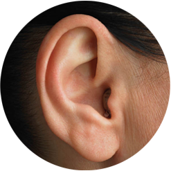 Slušni aparat CIC (completely in canal) – gotovo nevidljivo rešenje za blagi do umereni gubitak sluha u MKM ordinaciji u Beogradu.