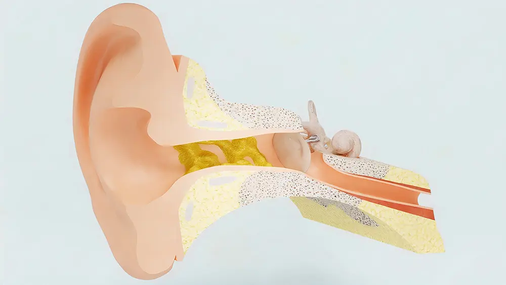 Zapušenost uva – uzroci i rešenja