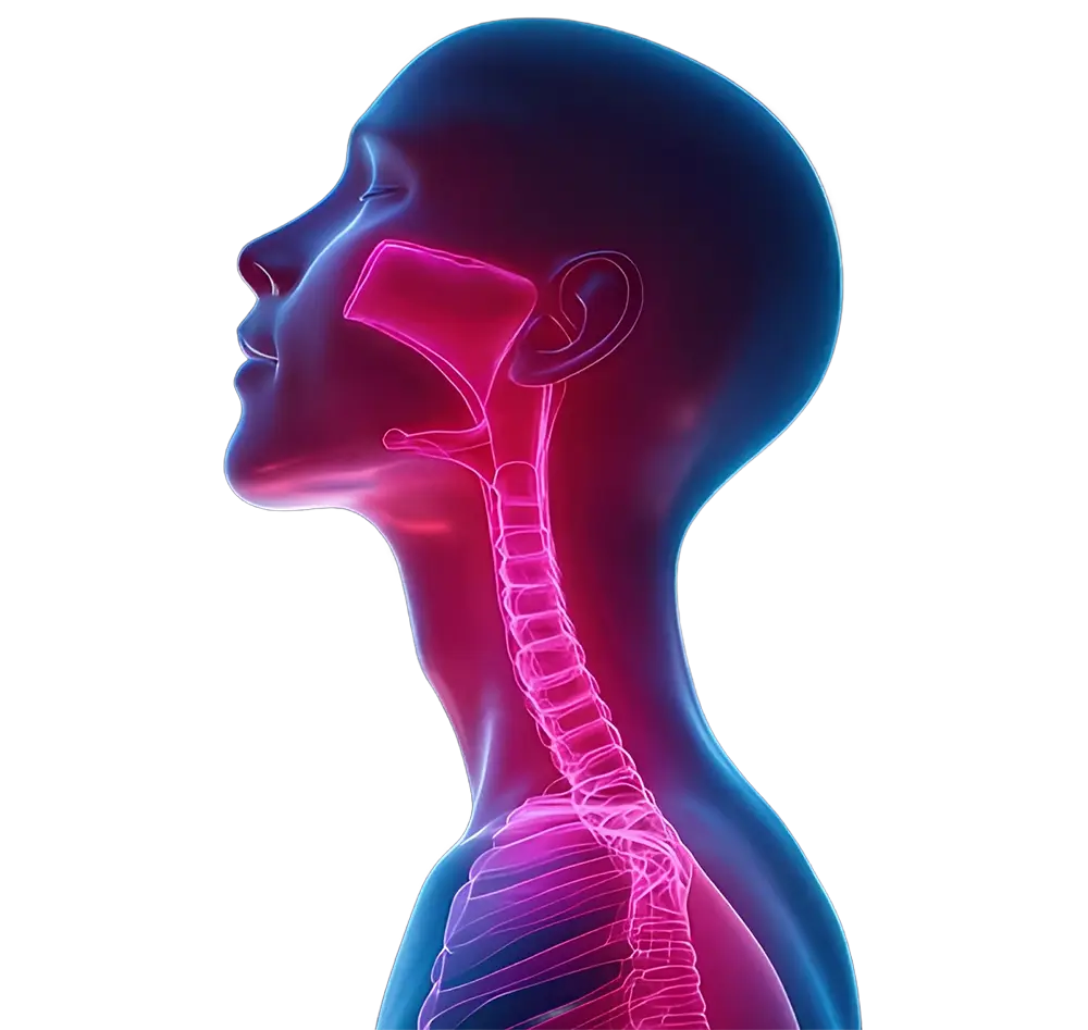 Refluks kiseline kao uzrok knedle u grlu i promuklosti