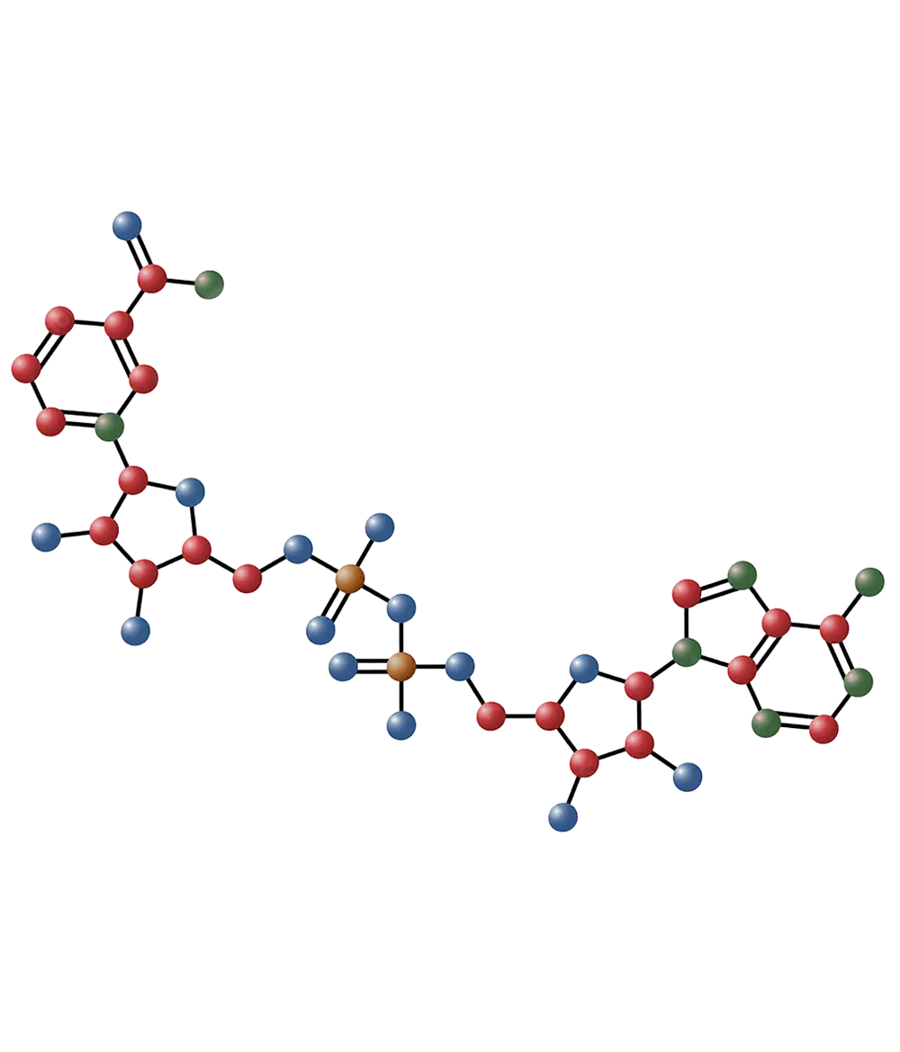 NAD+ infuzija – molekularna struktura nikotinamid adenin dinukleotida (NAD+) u MKM ordinaciji u Beogradu.