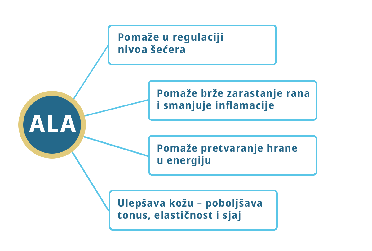 Infografik alfa-lipoinska kiselina – benefiti infuzije za energiju, detoksikaciju i zaštitu nervnog sistema.